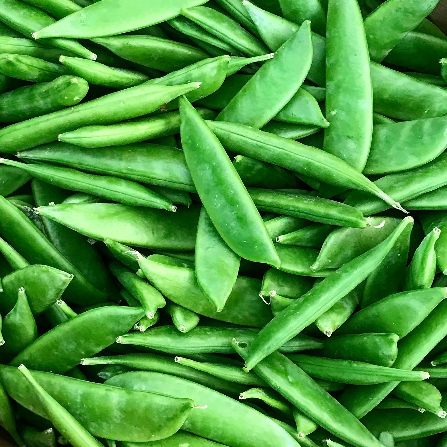 Sugar Snaps (125g)