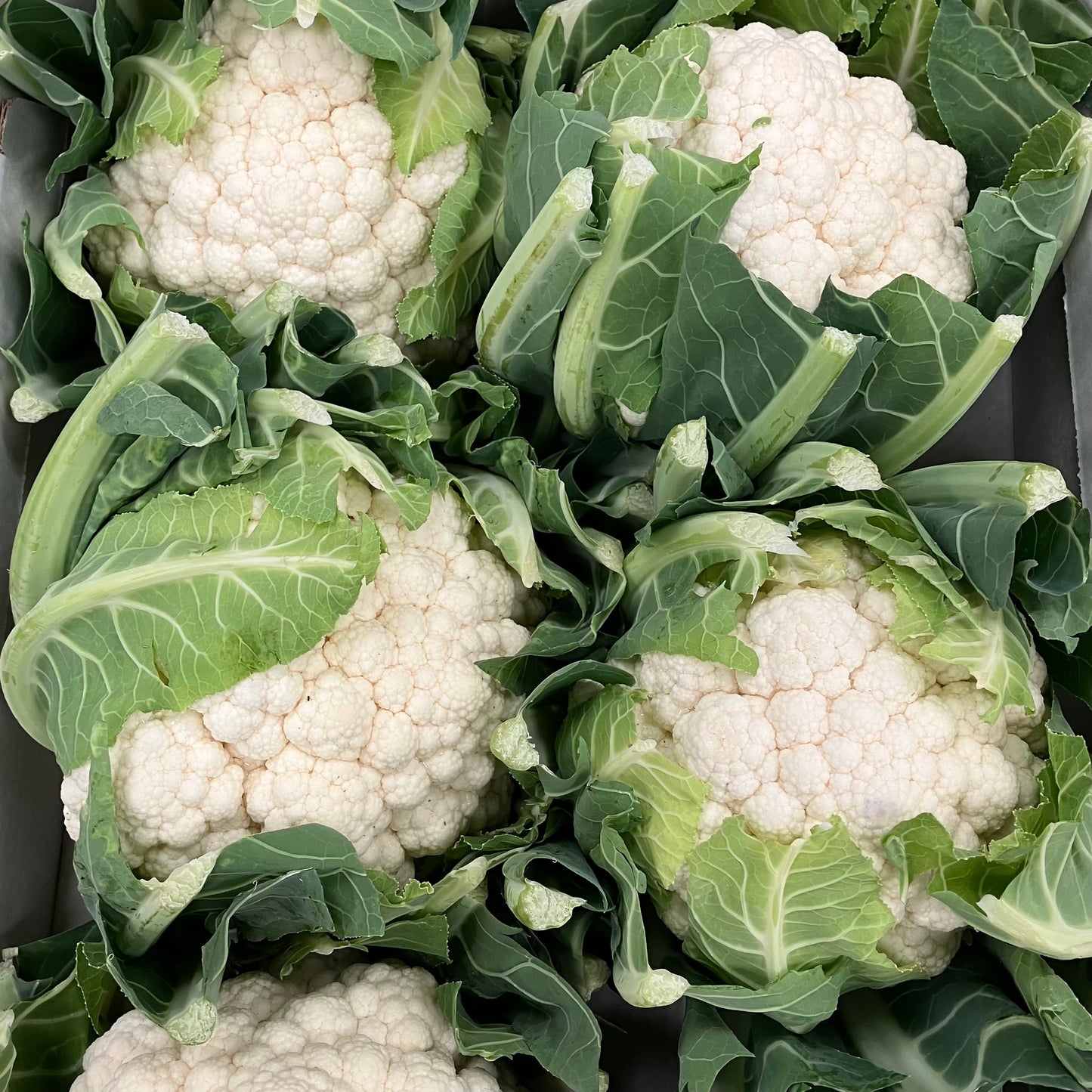 Cauliflower (1 Piece)