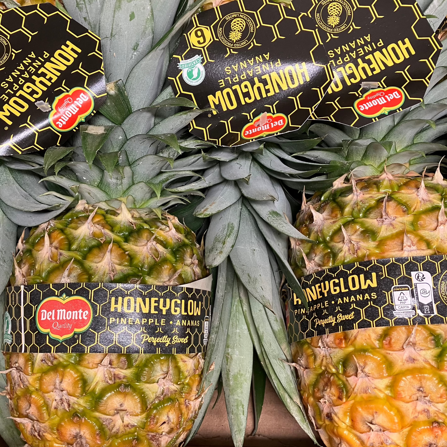 Honey Glow Pineapple (1 piece)