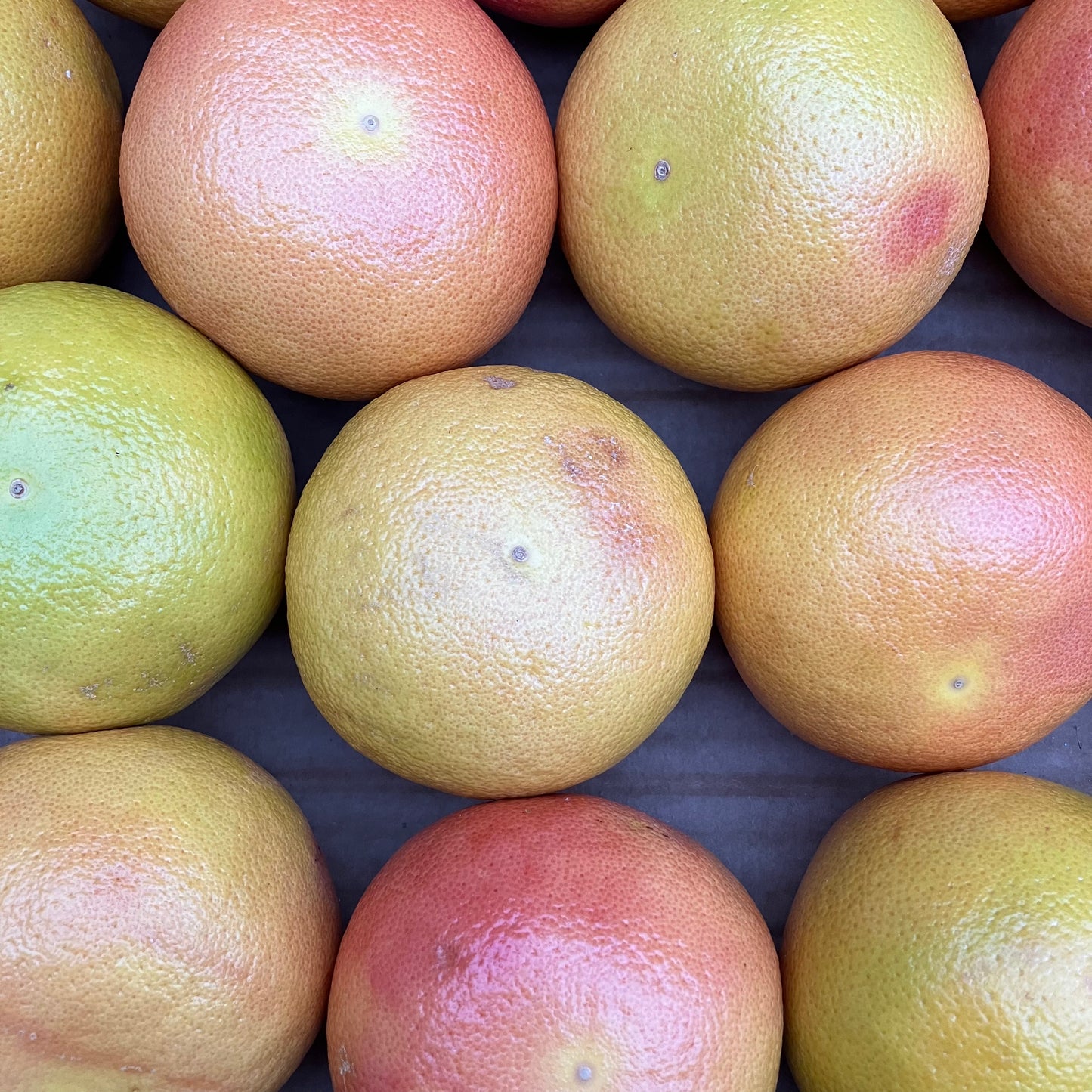 Pink Grapefruit (1 piece)