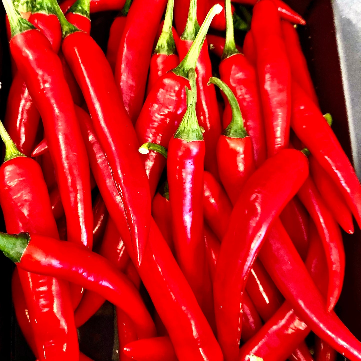 Chillies