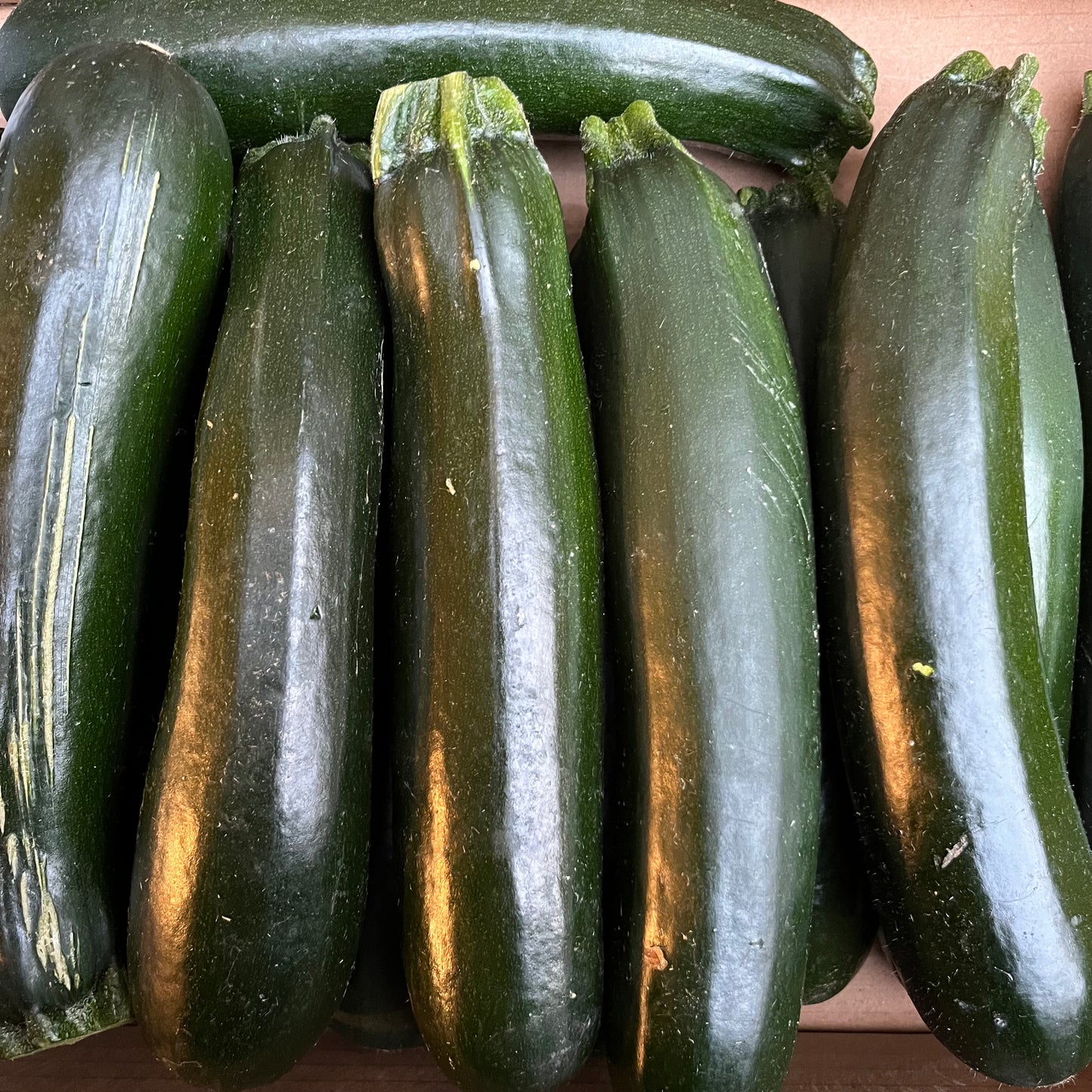 Courgettes