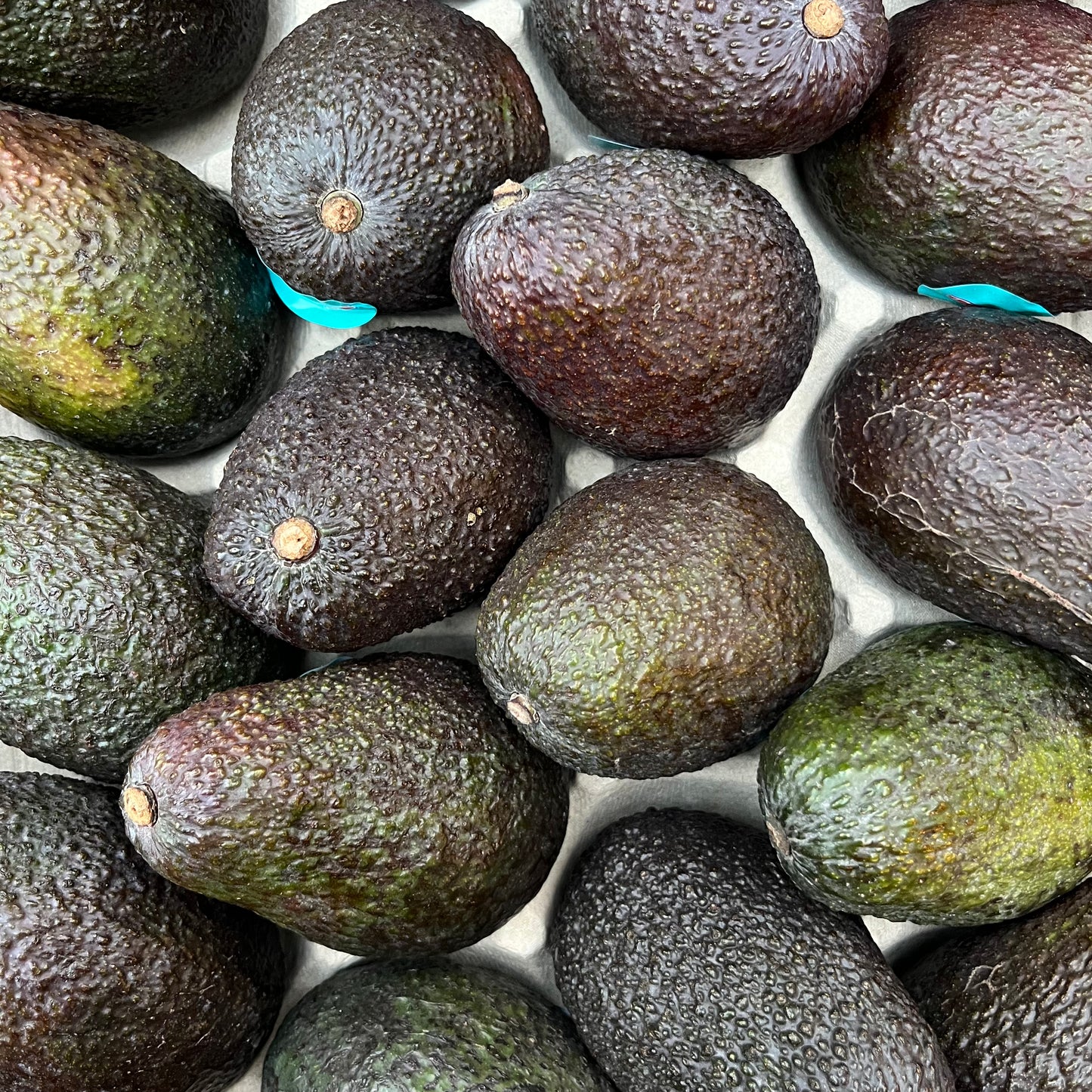 Hass Avocado (1 piece)