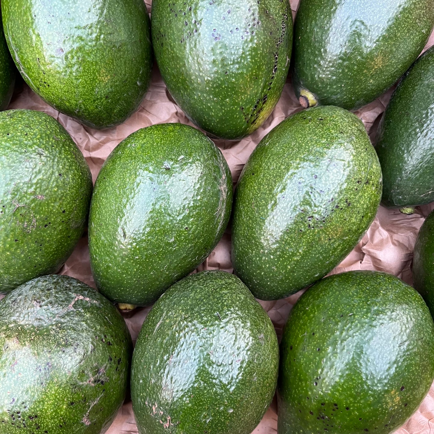 Green Avocado (1 piece)