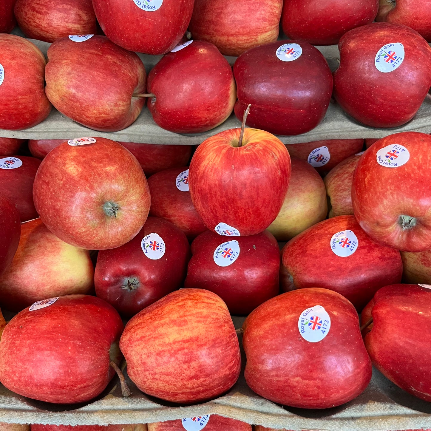 Gala Apples