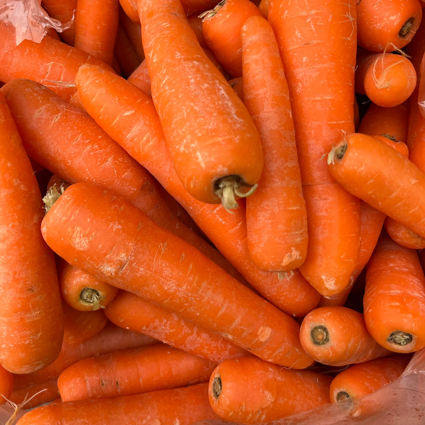 British Carrots