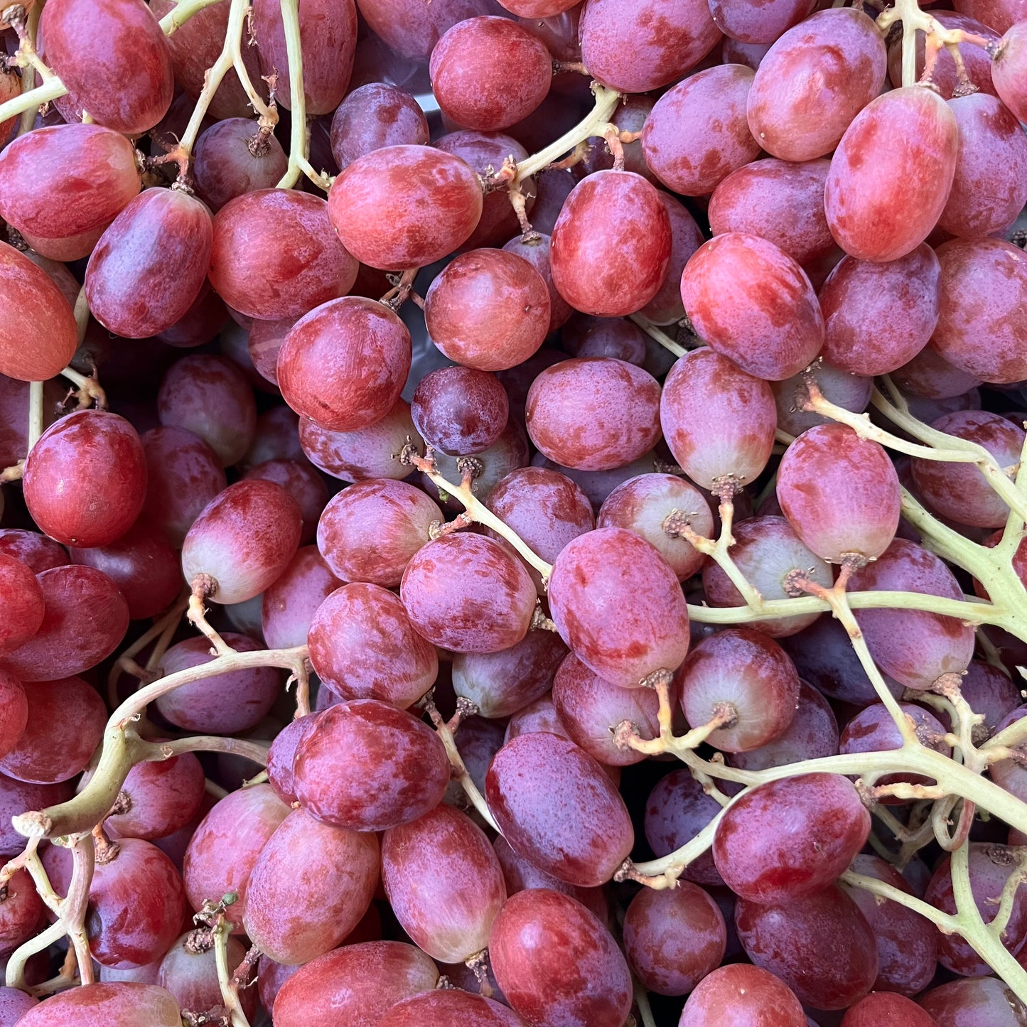 Grapes (500g)