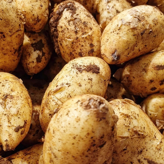 Cyprus Potatoes