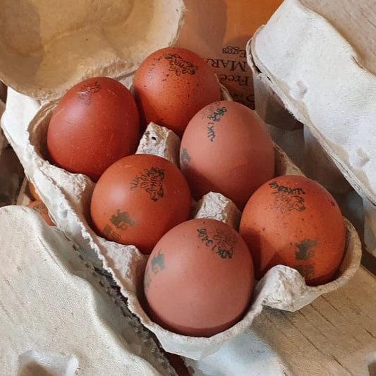 Free Range XL Eggs (6 pieces)