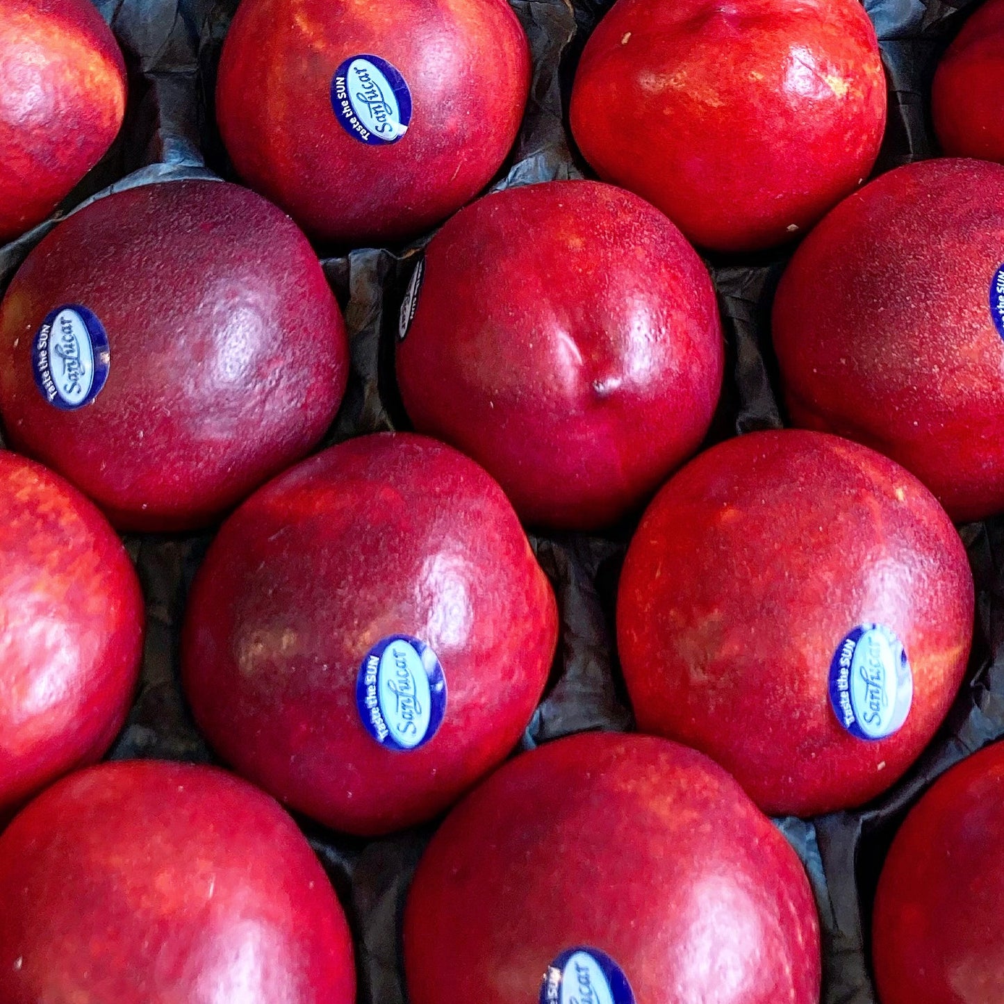 Nectarines (3 pieces)