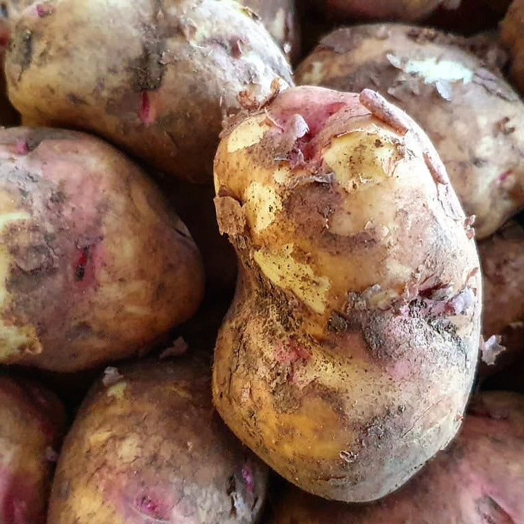 King Edward Potatoes