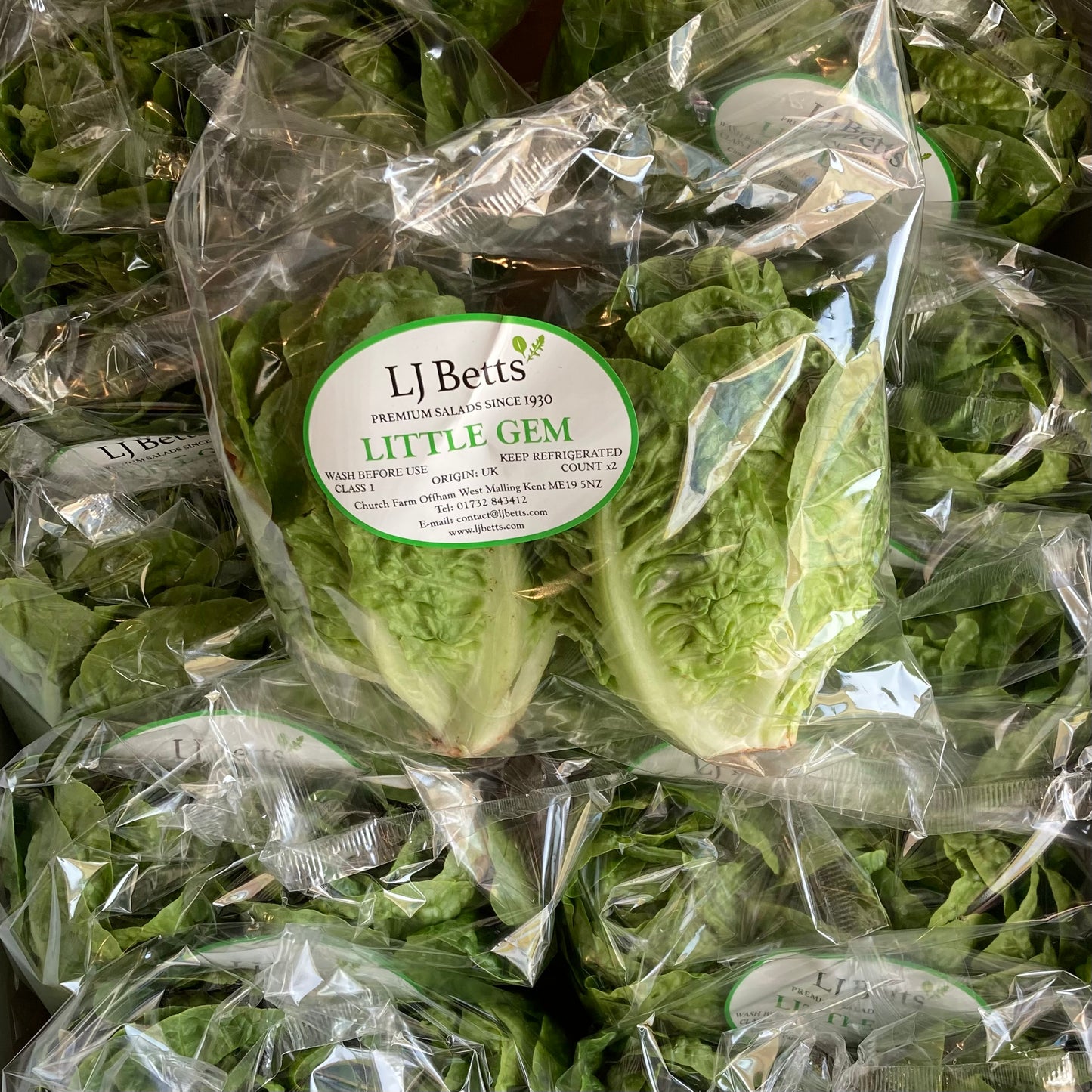 British Little Gem Lettuce (2 pieces)