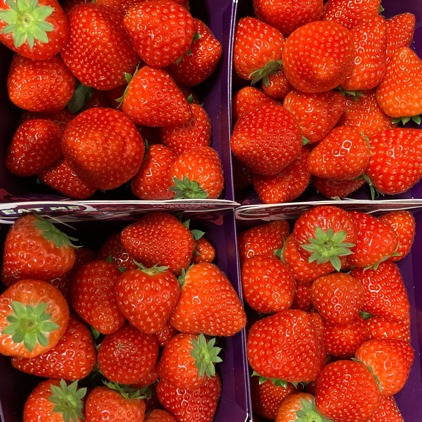 Belgium strawberries 454gms