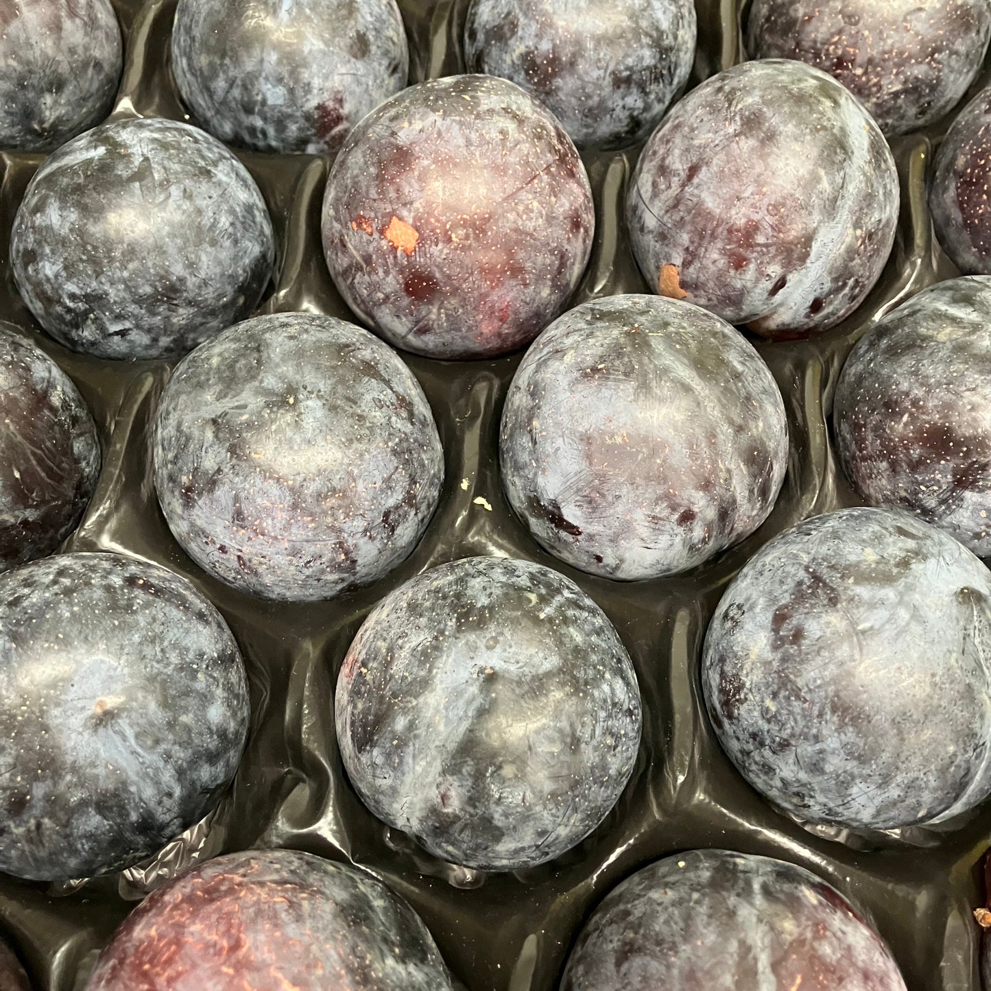 Plums