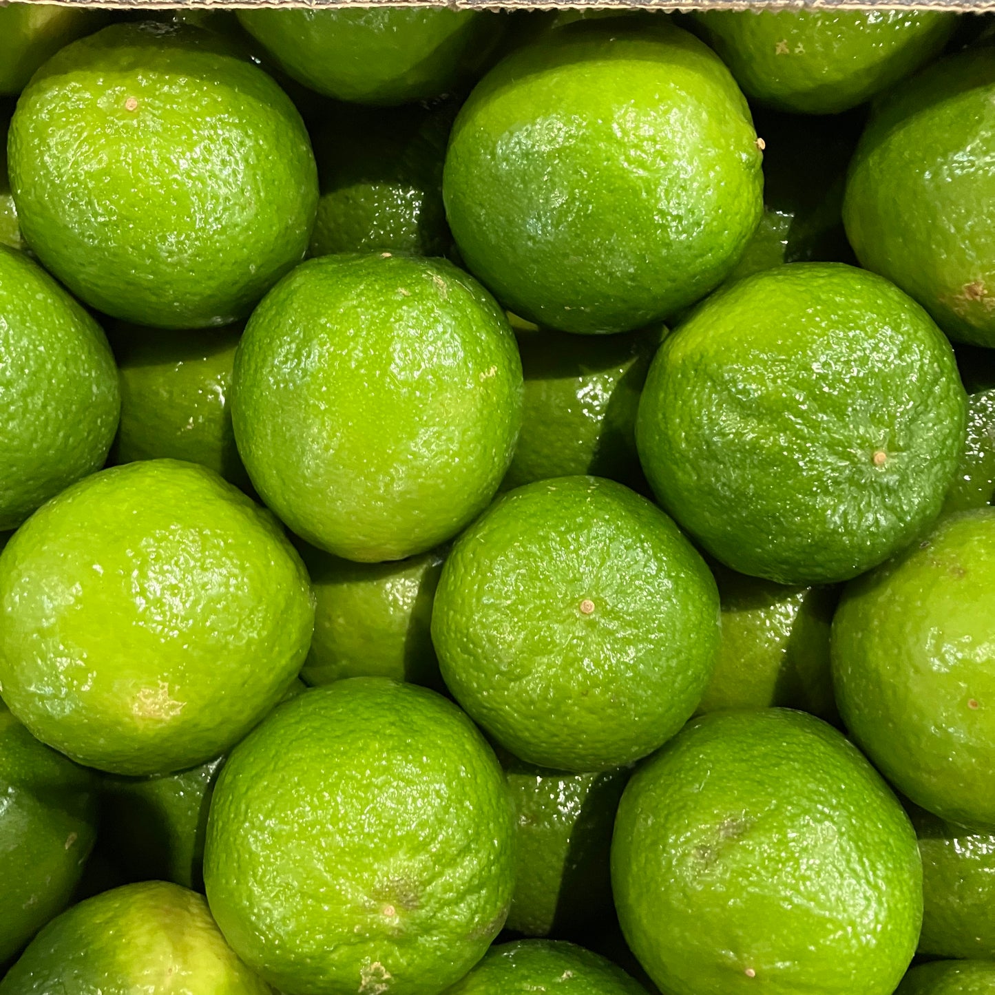 Lime (3 pieces)