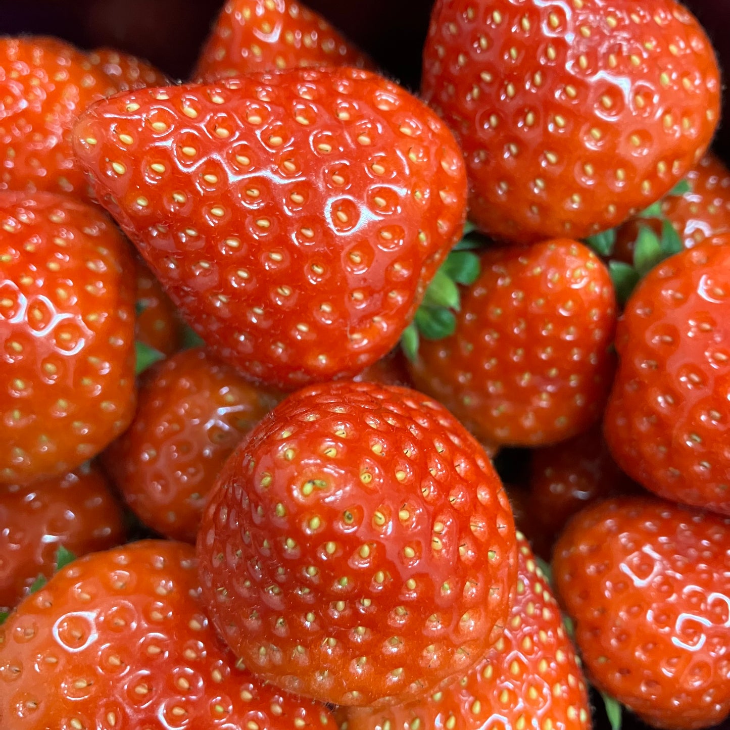 Belgium strawberries 454gms