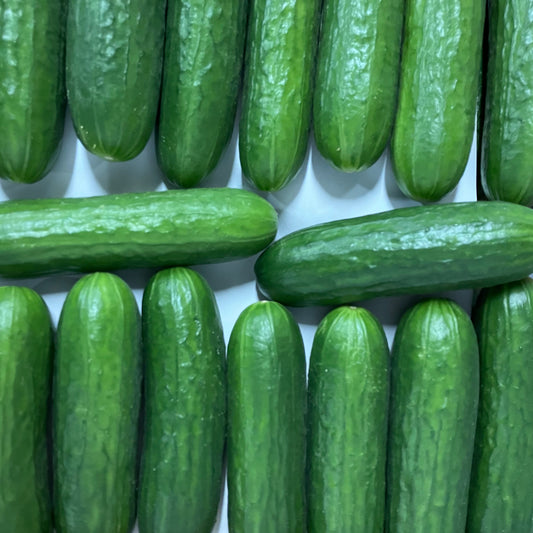 Baby Cucumber (500g)