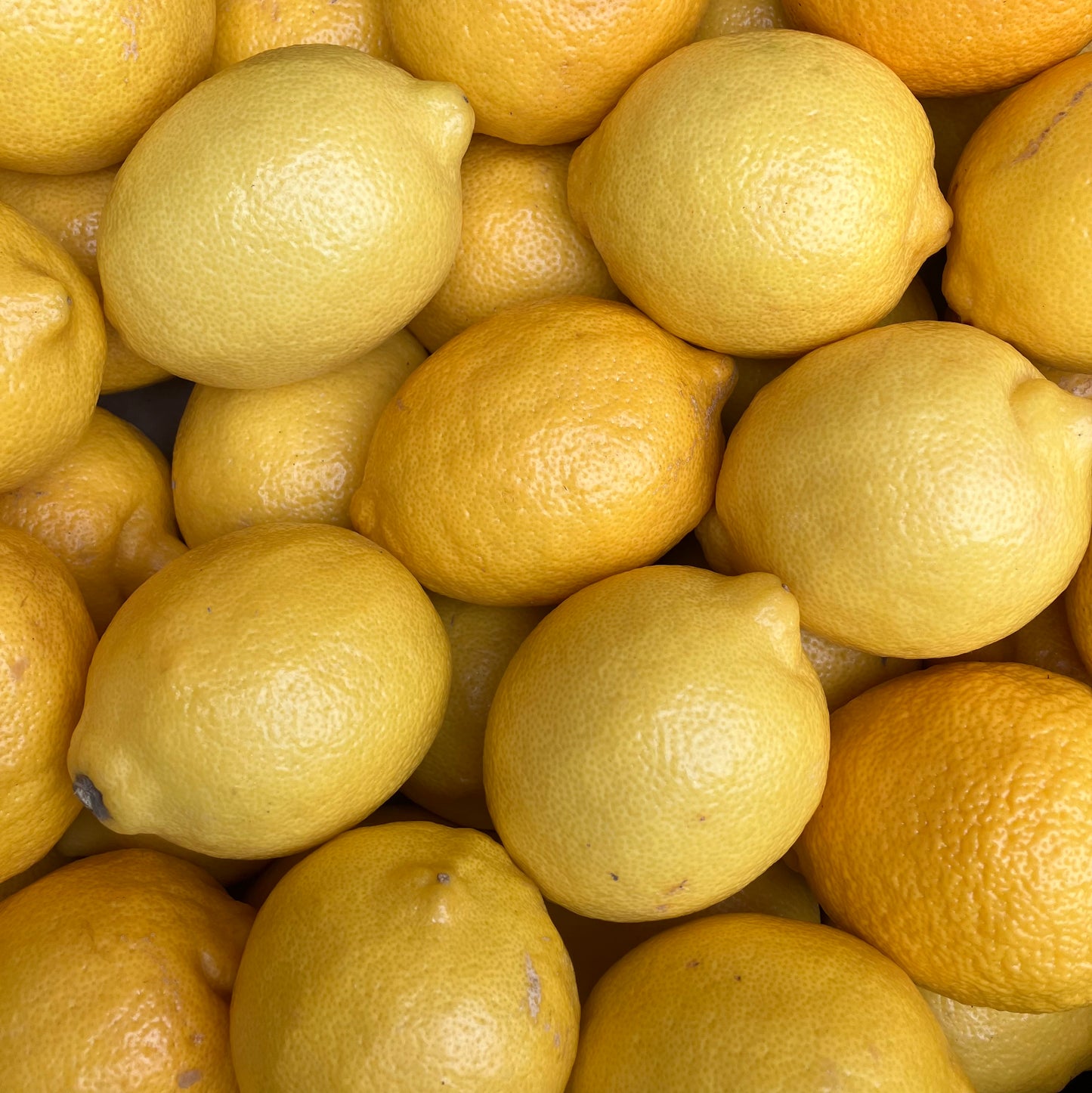 Lemons (3 pieces)