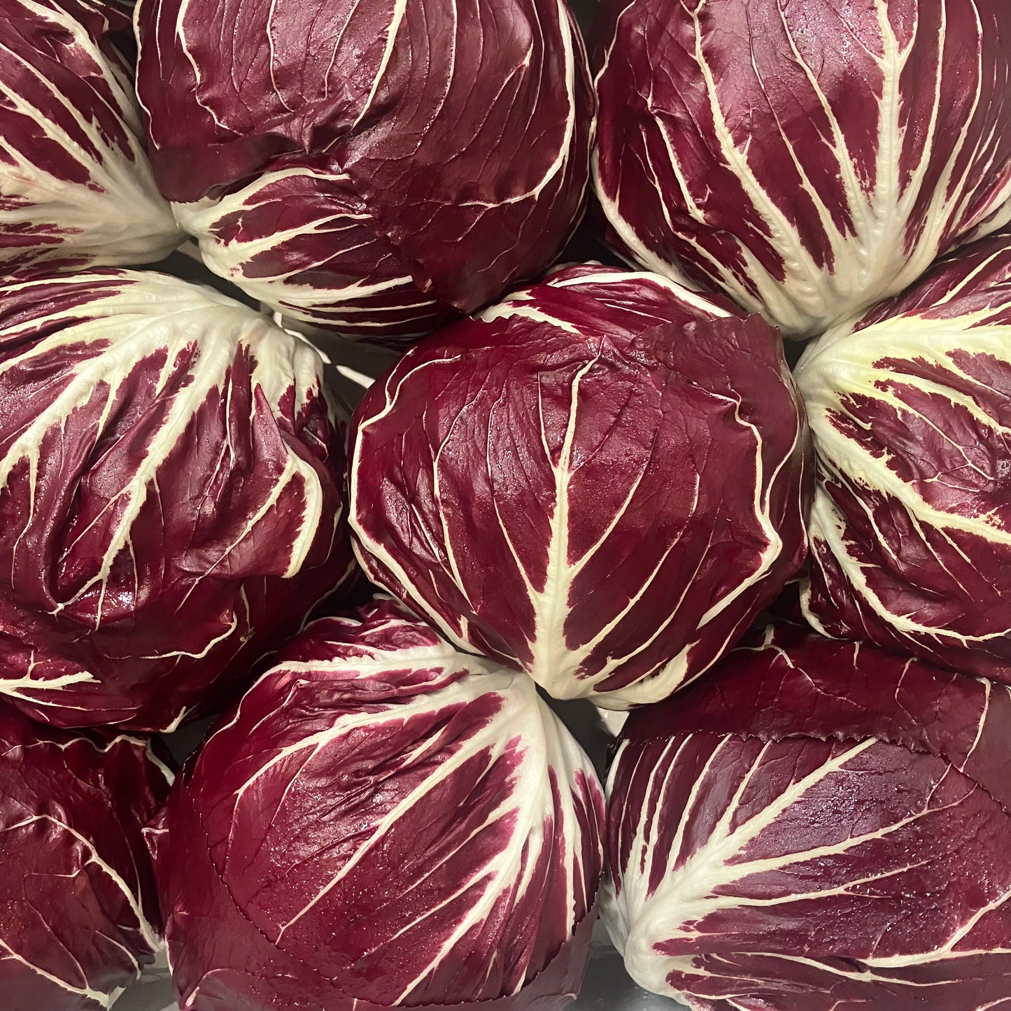 Radicchio (1 piece)