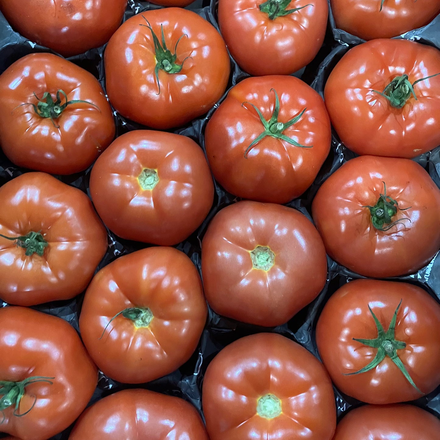 Beef Tomato (1 piece)