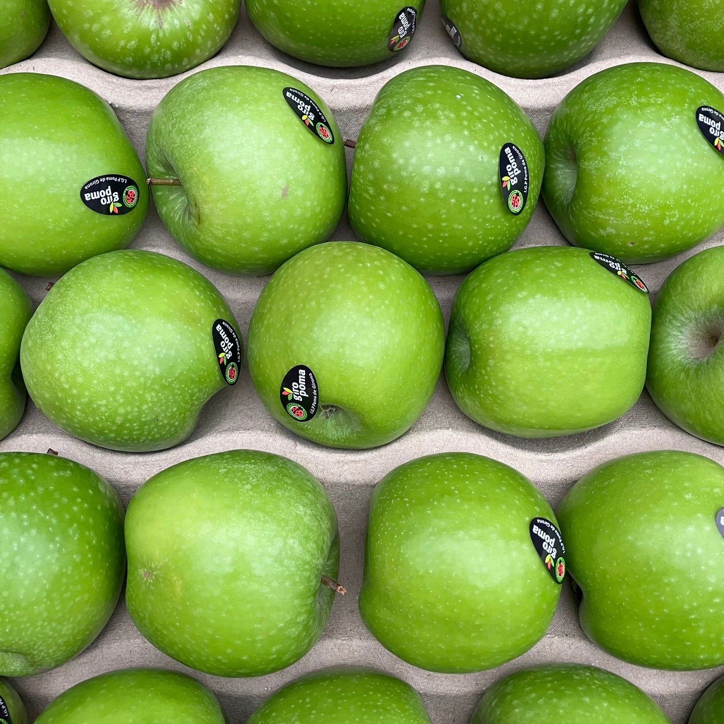 Granny Smith Apples