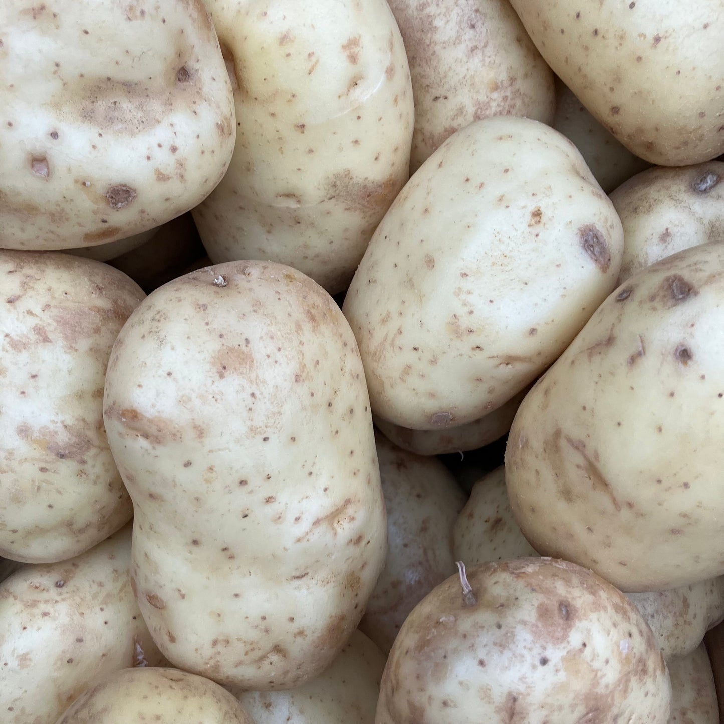Baking Potatoes (4 pieces)