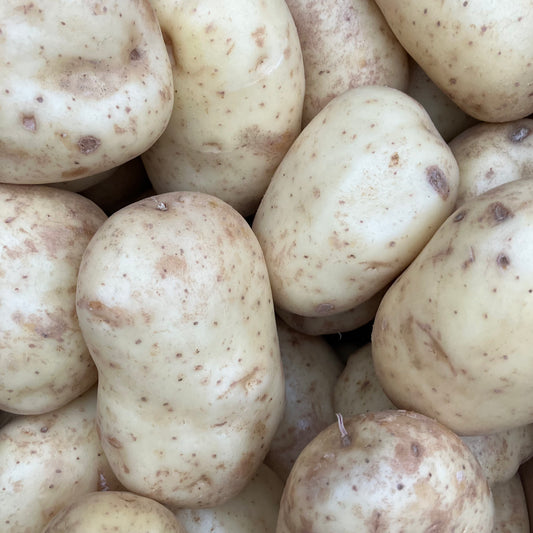 Baking Potatoes (4 pieces)