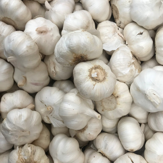 Garlic (3 Bulbs)
