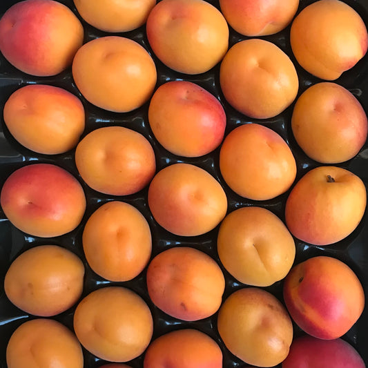 Apricots