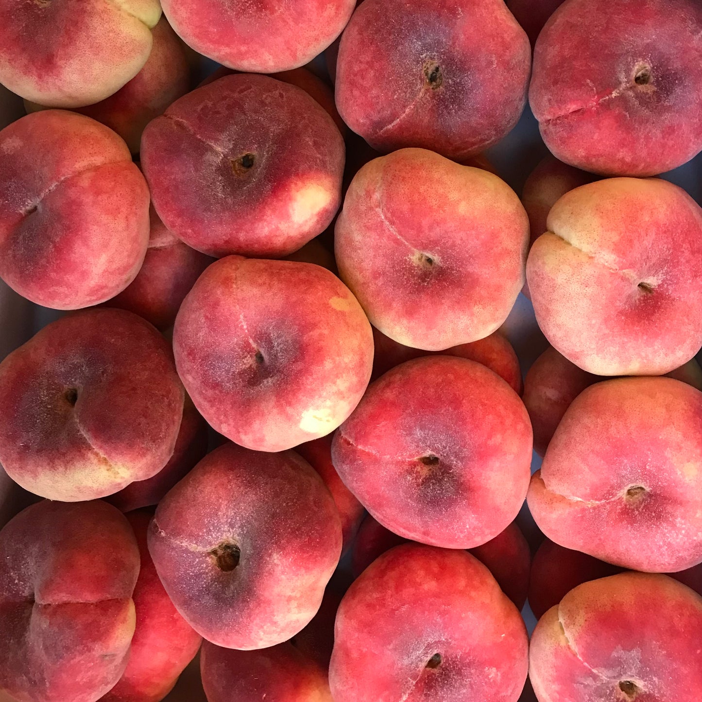 Donut Peaches