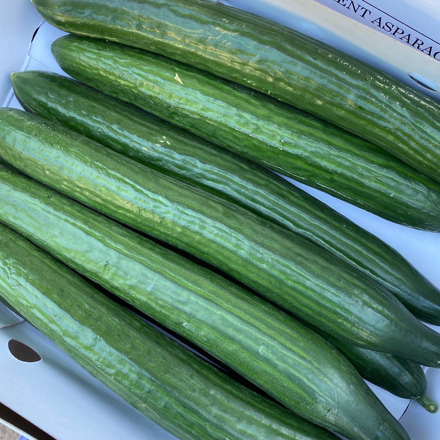 Cucumber (1 Piece)