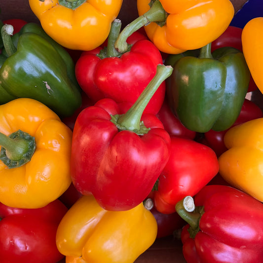 Peppers Mixed (3 pieces)