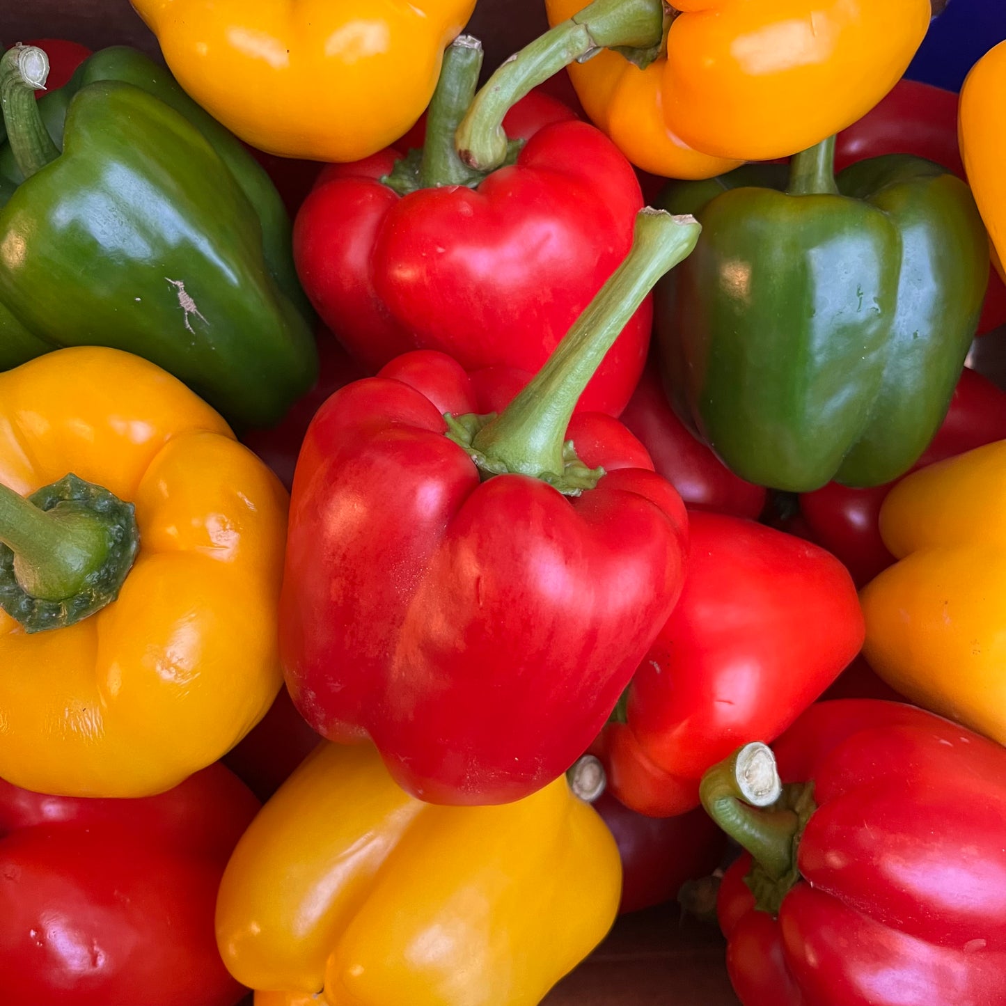 Peppers Mixed (3 pieces)