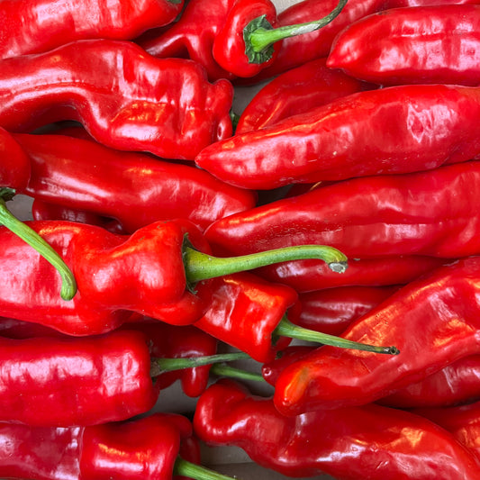 Romero Peppers (500g)