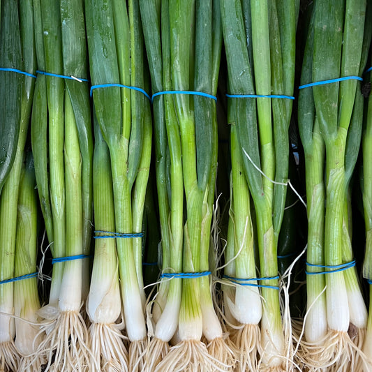 Spring Onions (Bunch)