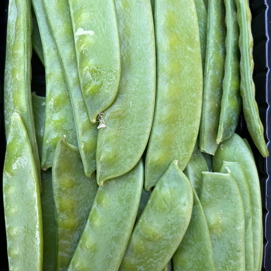 Mange Tout (125g)