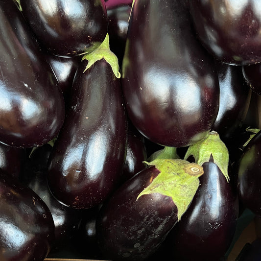 Aubergines (2 pieces)