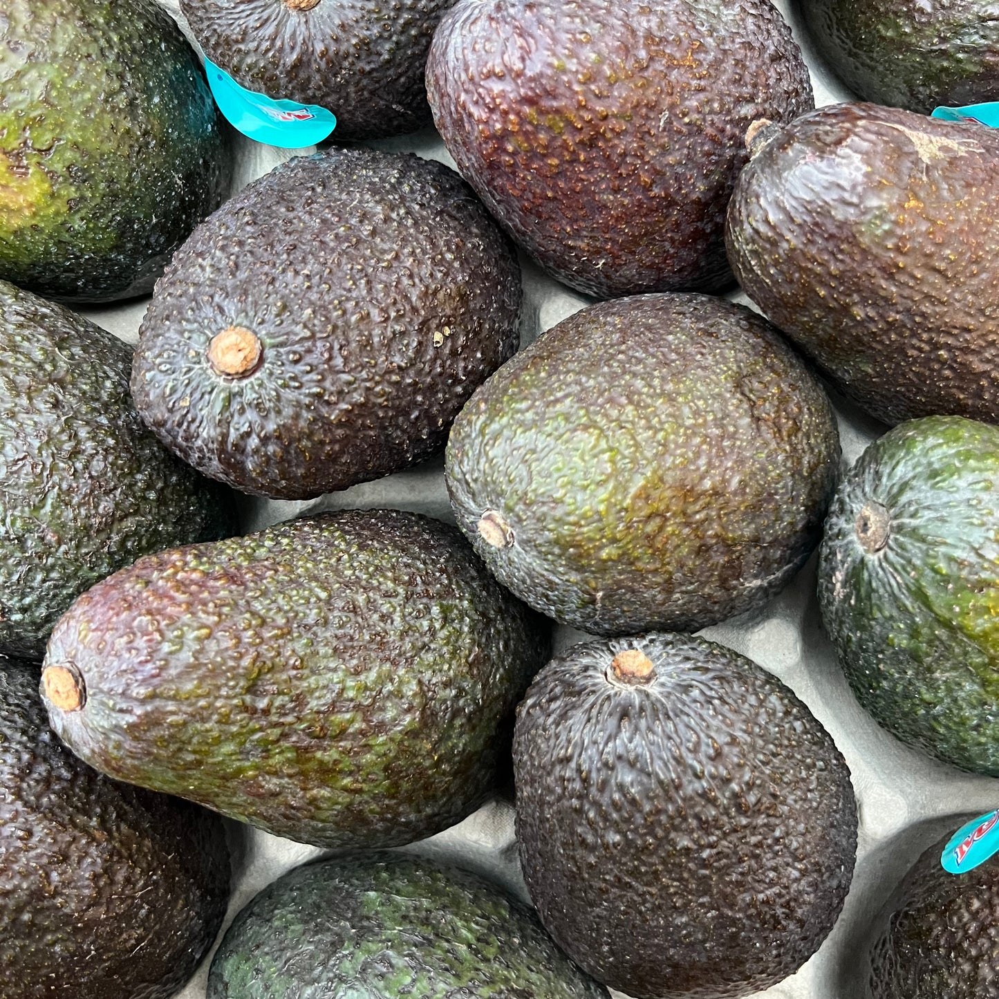 Hass Avocado (1 piece)