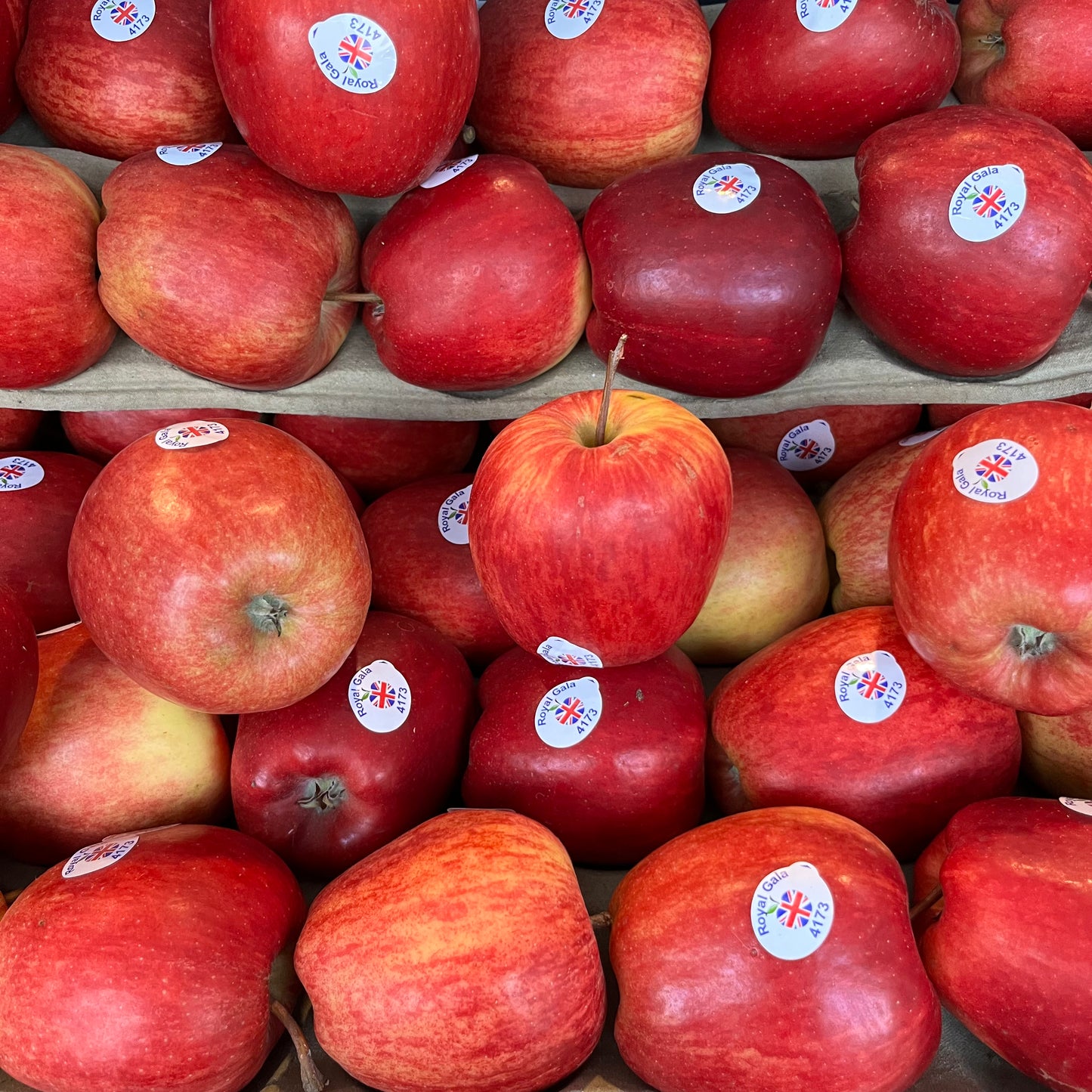 Gala Apples