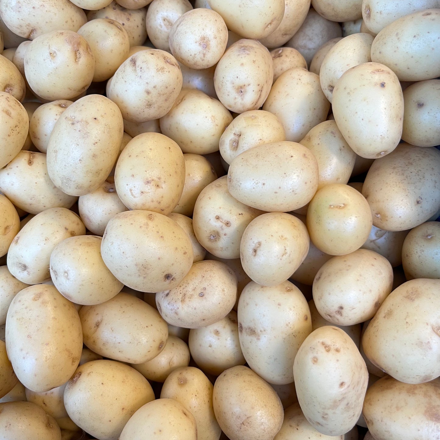 English New Potatoes (750g)