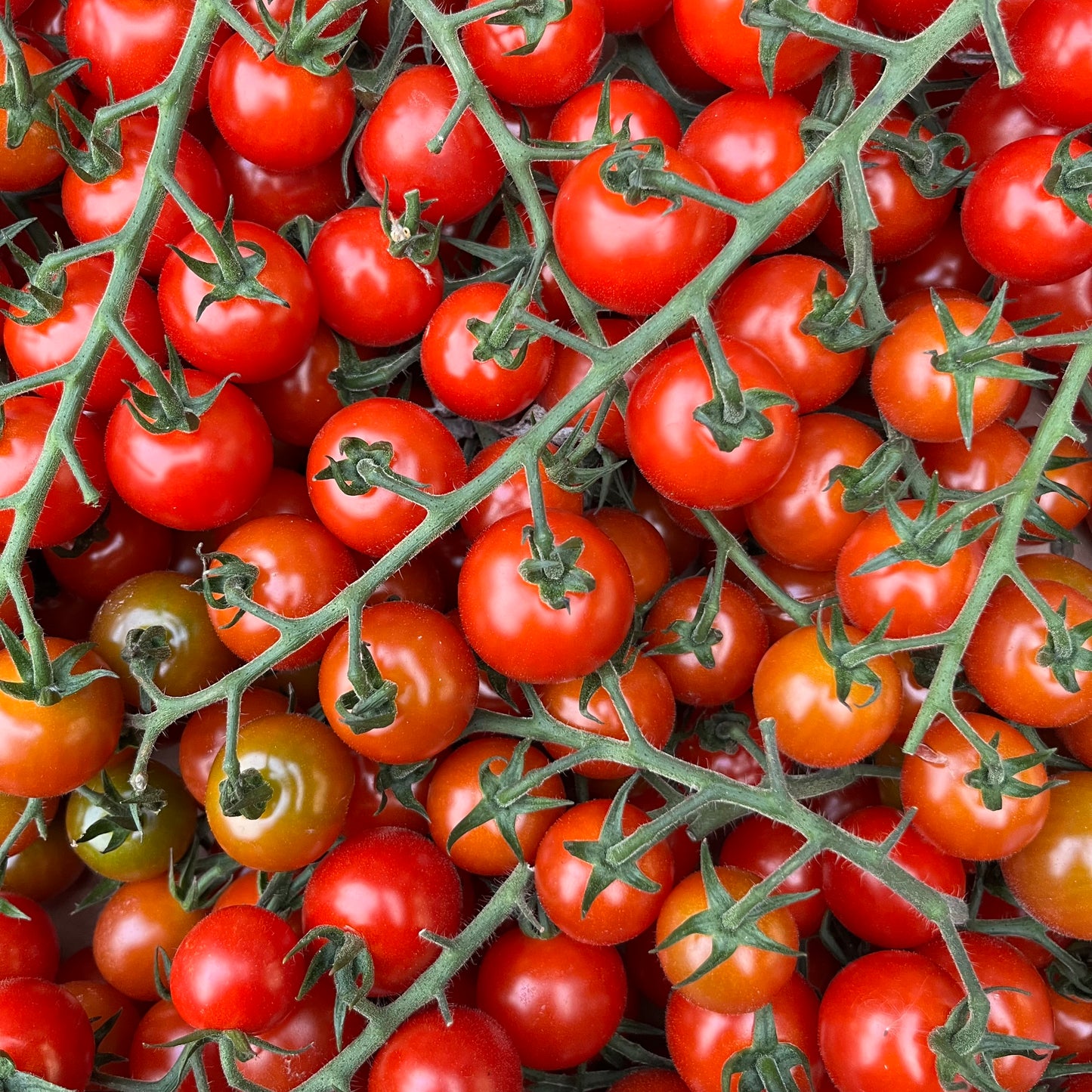 Cherry Tomatoes (500g)