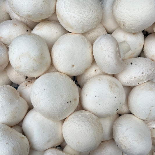 Cup Mushrooms (500g)