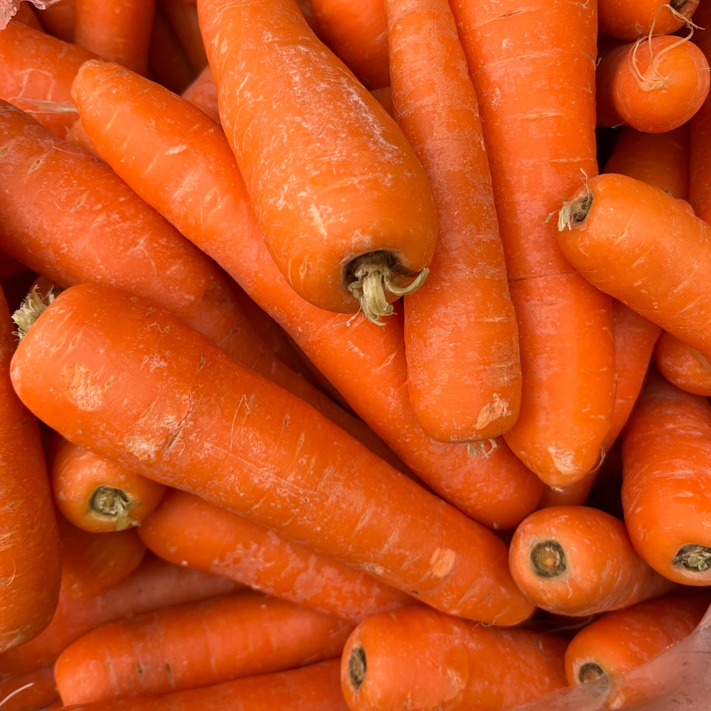 British Carrots