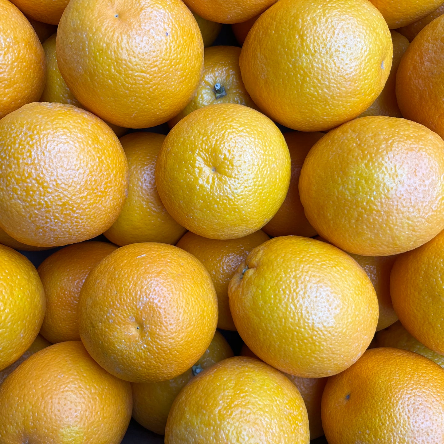 Oranges (3 pieces)