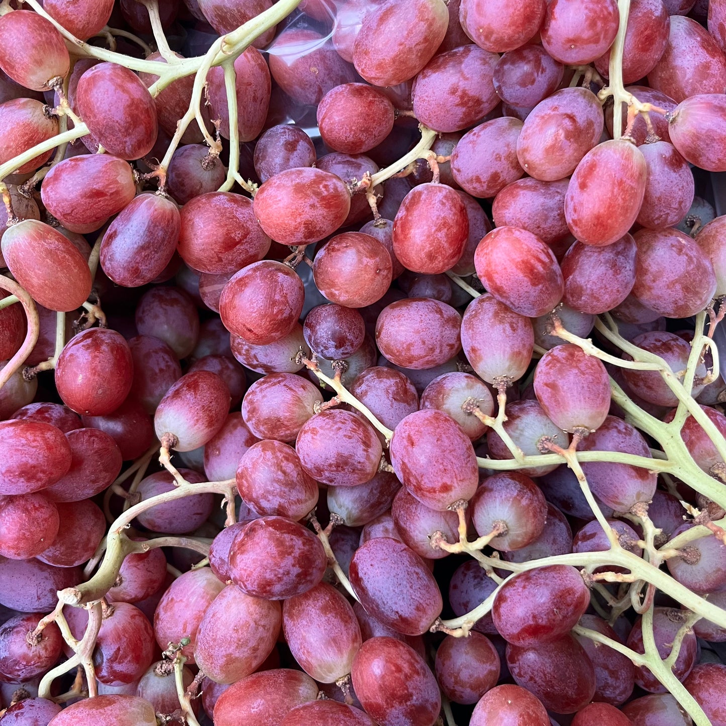 Grapes (500g)