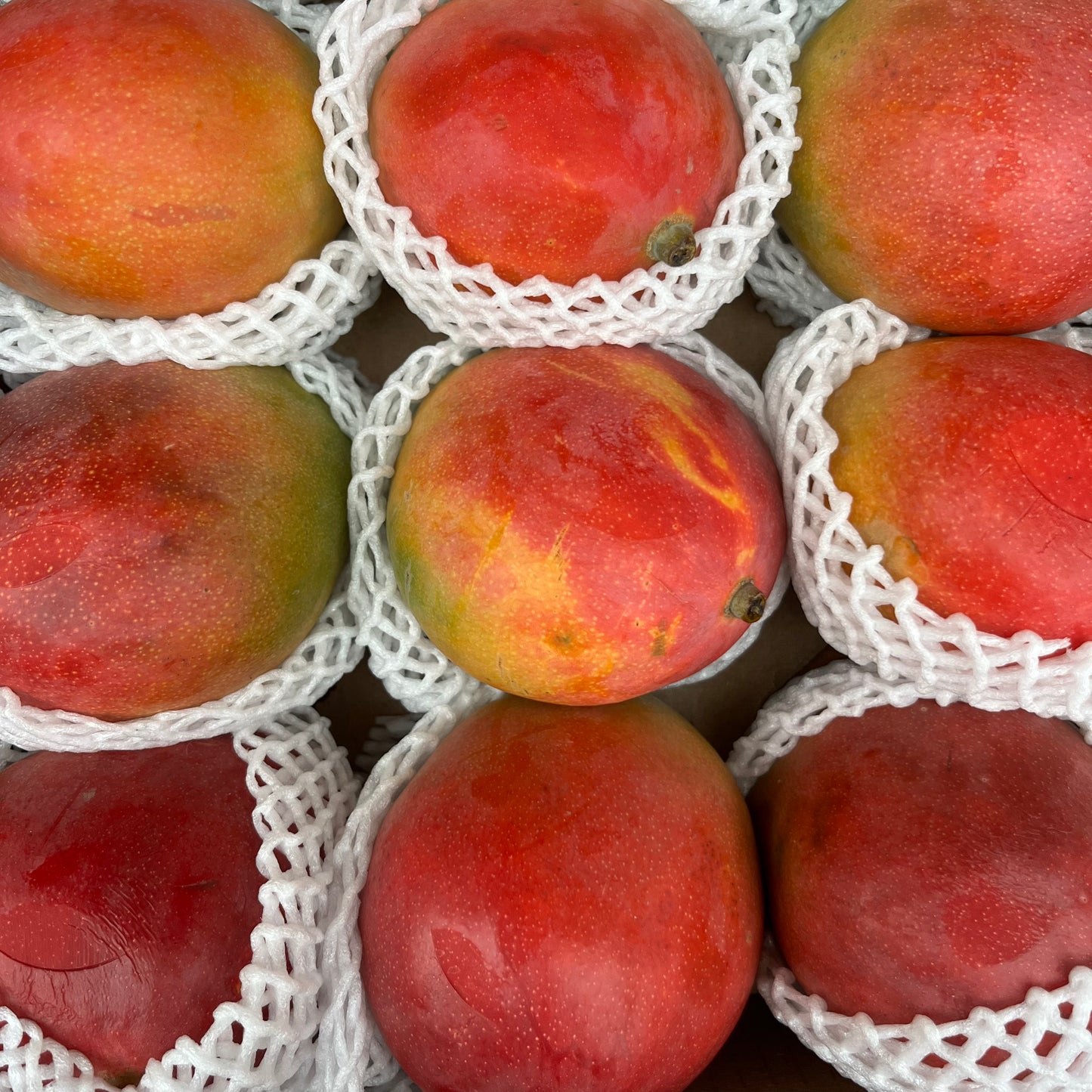 Mango (1 piece)