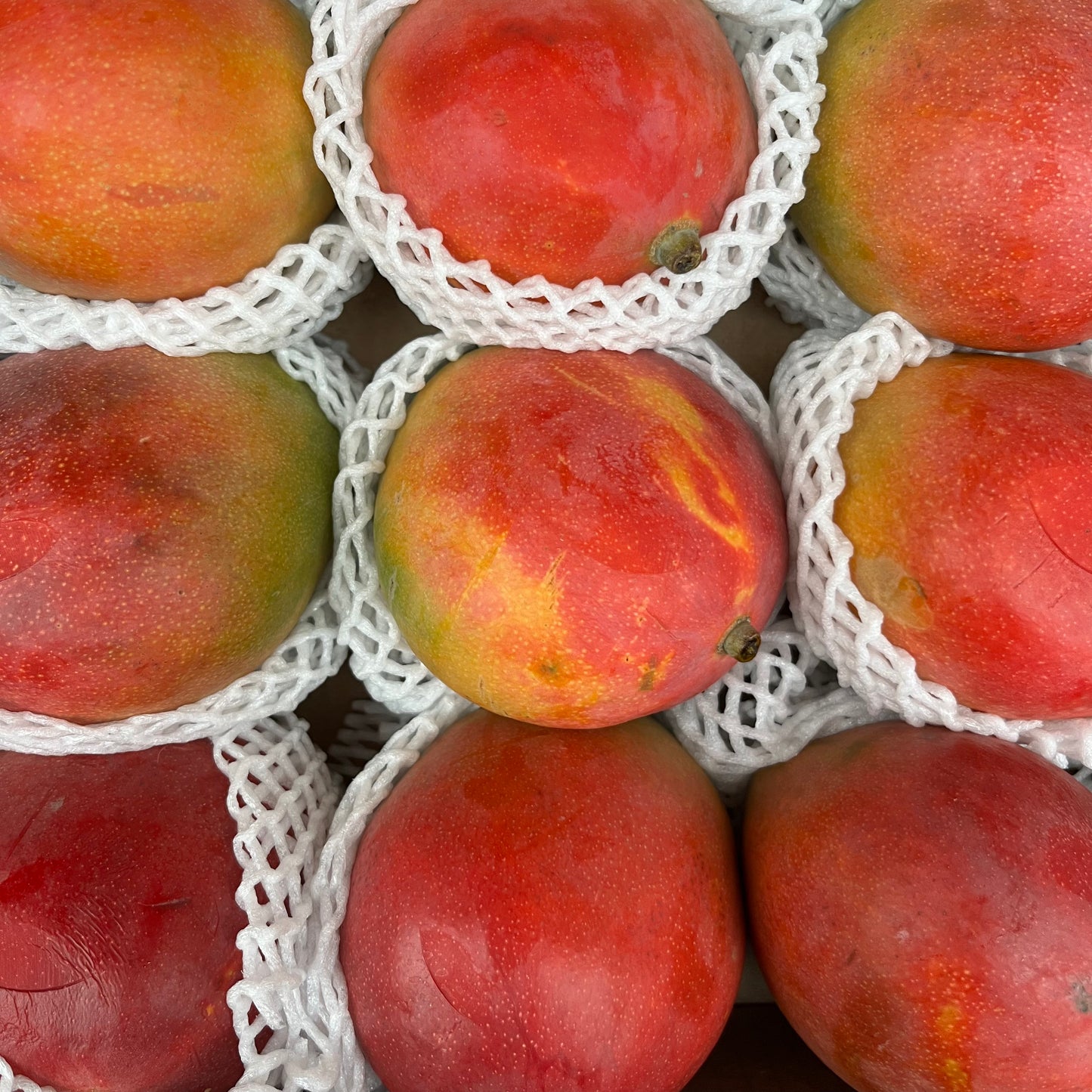 Mango (1 piece)