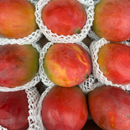 Mango (1 piece)
