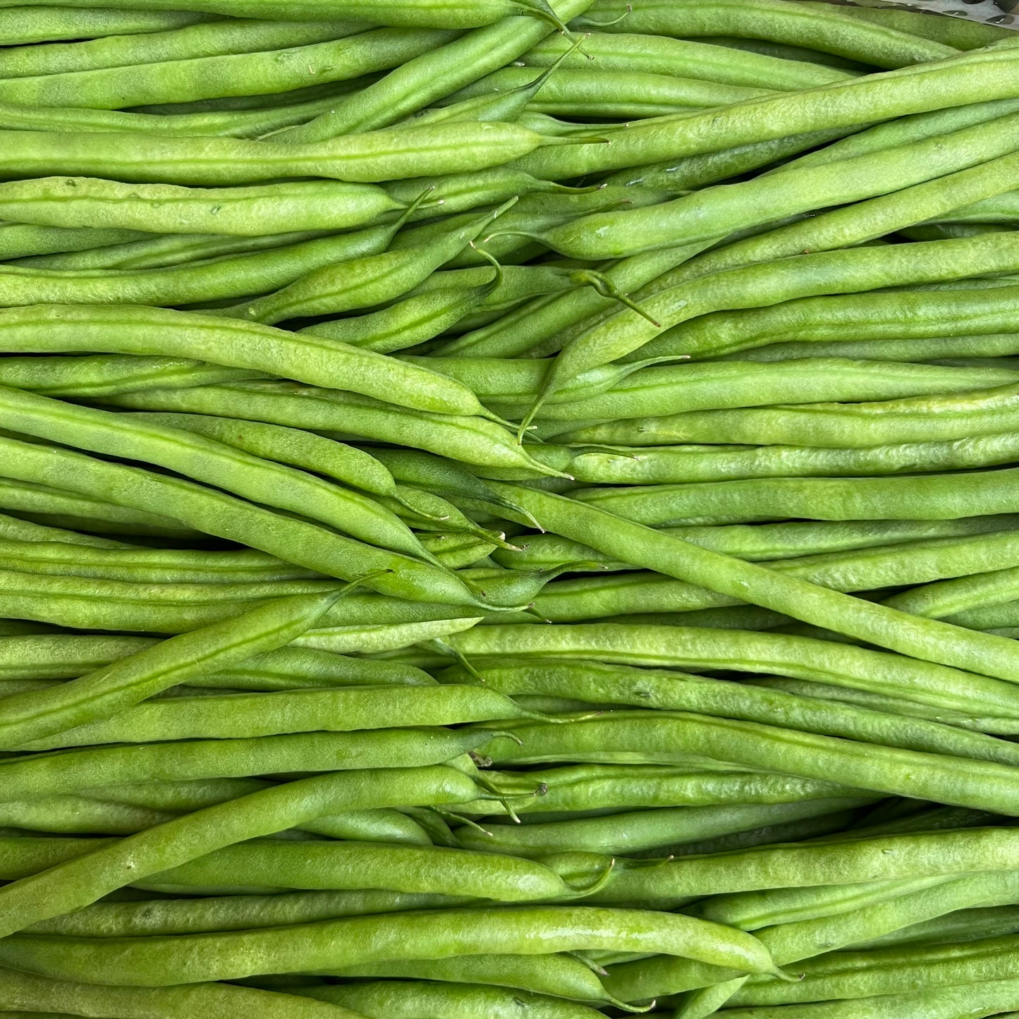 Fine Beans (250g)