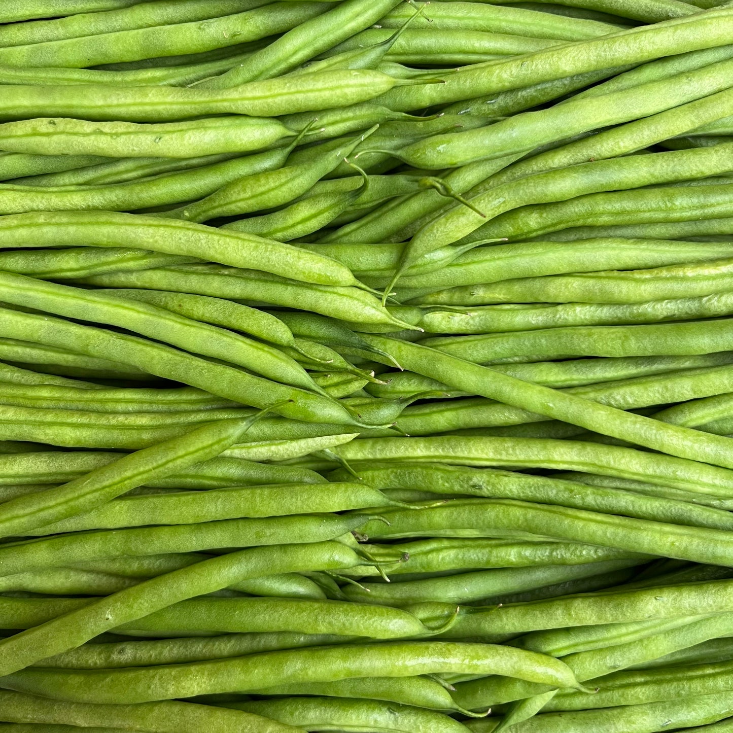 Fine Beans (250g)